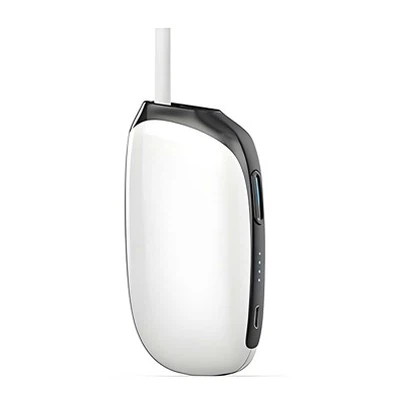 링 발열체 궐련형 담배 제품